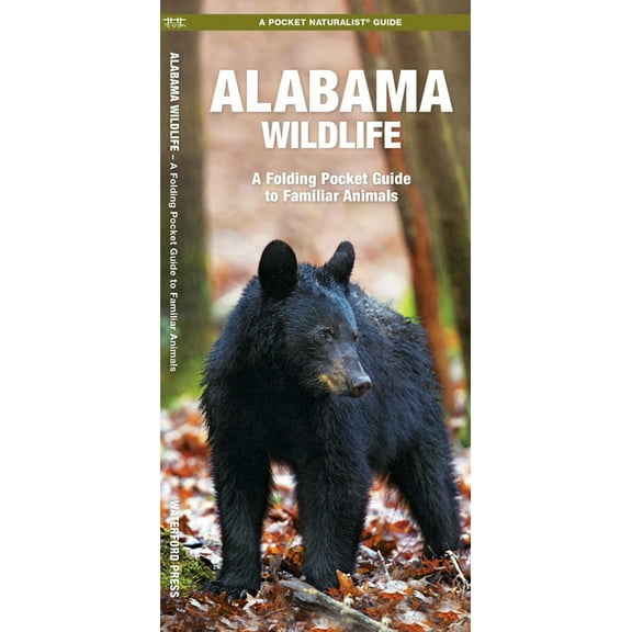Alabama Wildlife: An Introduction to Familiar Species