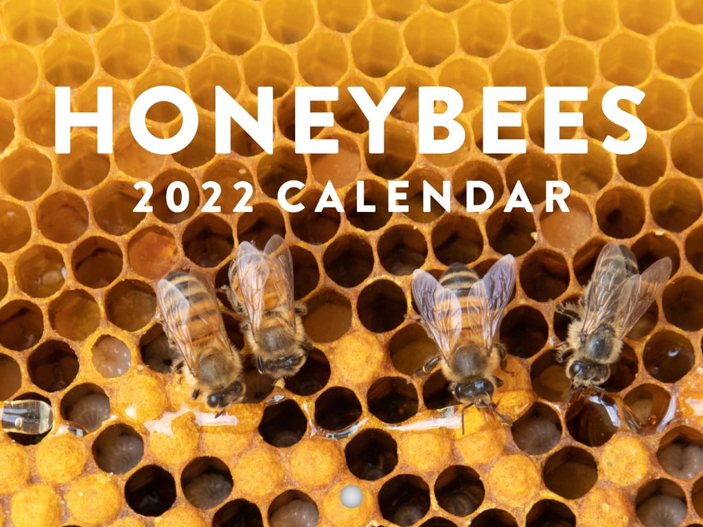 Honey Bees 2022 Wall Calendar Beekeeping Hive Animals Bees Calendar Farmhouse Calendar Large 18 Month Calendar Monthly Full Color Thick Paper Pages Folded Ready To Hang Planner Agenda 18x12 inch