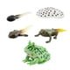thumbnail image 5 of Figuras de animales Juguete Figuras de animales realistas Aprendizaje Prop Ranas Modelo de para niños en edad preescolar estilo B Hugo juego de crecimiento, 5 of 10