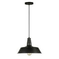 thumbnail image 4 of Forte Lighting 7692-01-04 1 Light 14" Wide Pendant - Black, 4 of 4