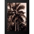 thumbnail image 2 of Blue, Cyril 13x18 Black Modern Framed Museum Art Print Titled - Coconut Palm, Bali, 2 of 5