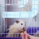 thumbnail image 4 of PAMINGONO 1Jgo DIY Para Jaula De Hamster En Plástico Azul Con Material Duradero, 4 of 6