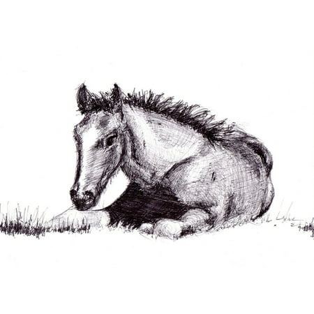 - Peel-n-Stick Poster of Art Drawing Horse Artwork Pen Poster 24x16 Adhesive Sticker Poster Print