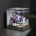thumbnail image 2 of biOrb FLOW 30 Aquarium with Standard Light - 8 Gallon, White, 2 of 8