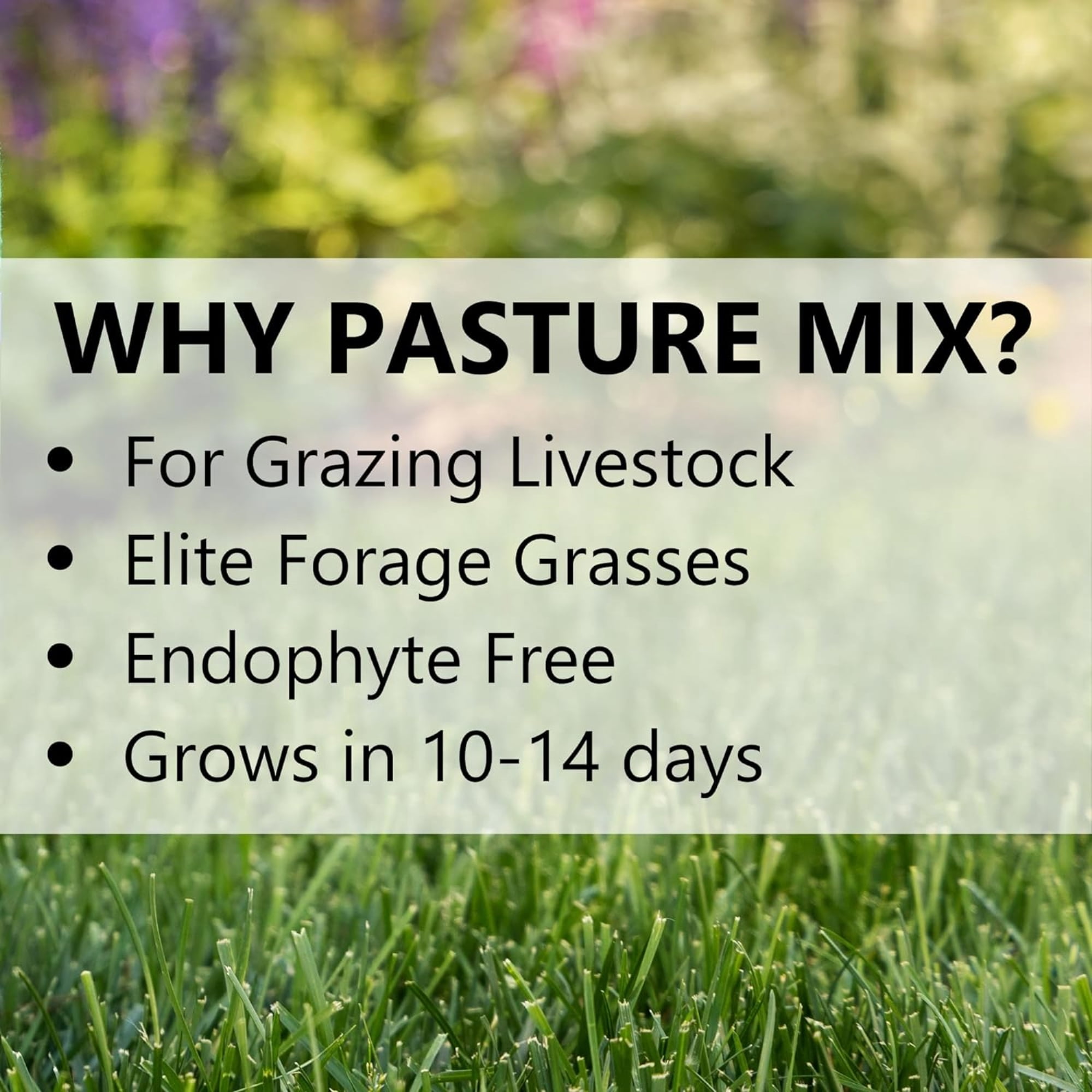Jonathan Green Pasture Grass Mixture (Covers up to 21,780 sq ft) 25lb