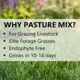 thumbnail image 4 of Jonathan Green Pasture Grass Mixture (Covers up to 21,780 sq ft) 25lb, 4 of 4