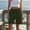 Army Green, variant on Only Moment Women's Summer Sweat Shorts Blended Fabric Knee Length Capris with Pockets High Waisted Athletic Casual Shorts for Women Cargo Shorts B,S