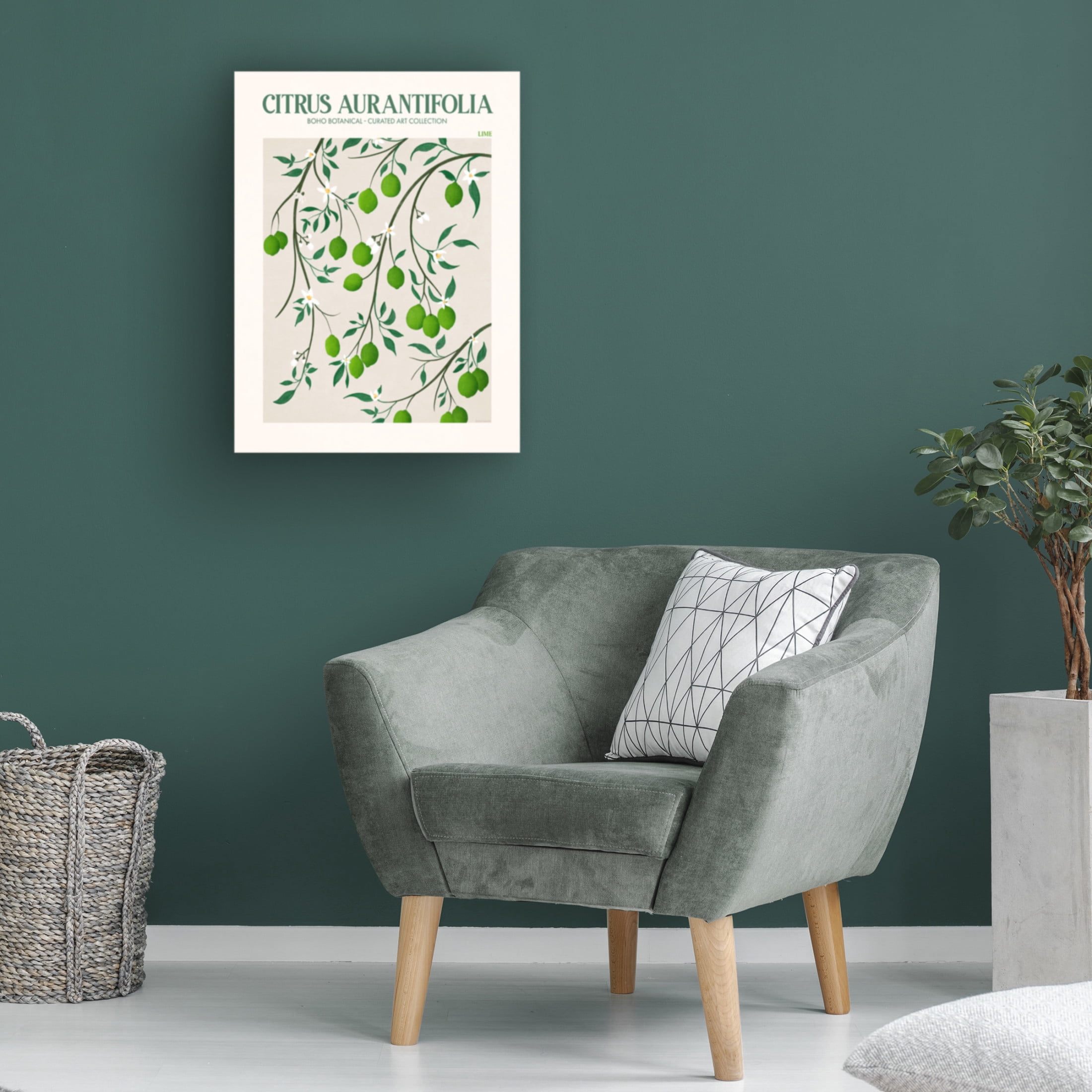 Trademark Fine Art Emel Tunaboylu  Rectangle 20 Canvas Wall Art