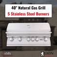 Lion Premium Outdoor Grill Kitchen Package 1 40" Natural Gas Grill