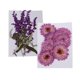 thumbnail image 1 of 20 Piezas de Flores Púrpuras Prensadas Reales, Flores Secas, Adornos de Bricolaje, Manualidades, 1 of 9