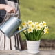 thumbnail image 5 of Colourful Plastic Flower Pot Succulent Flowerpot Home Office Decor, 5 of 6
