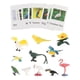 thumbnail image 3 of Materiales Montessori para combinar animales Figuras de animales realistas para niños Montessori pájaro, 3 of 9