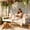White, variant on Twin Size Acacia Wood Porch Swing Bed with 4 Heavy Duty Ropes,Hanging Daybed Swing Bench for 2 People, 350 LBS Capacity, Farmhouse Patio Swing Chair for Porch, Backyard & Garden (White)