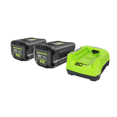 thumbnail image 1 of Greenworks 80V (2) Batteries 2,0 Ah et Ensemble Combiné de Chargeur Rapide, 1 of 4