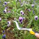 thumbnail image 4 of 2PCS Pequeño Desmalezador de Jardín Portátil - Herramienta de Trasplante de Aleación de Aluminio - Herramienta de Desmalezado - Pala de Jardín Manual Ergonómica - para Jardinería, 4 of 5