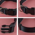 thumbnail image 2 of Collar De Nylon Para Cachorro De Perro Con Hebilla Y Clip Para Plomo (m, Negro) Afortunado Sencillez, 2 of 5