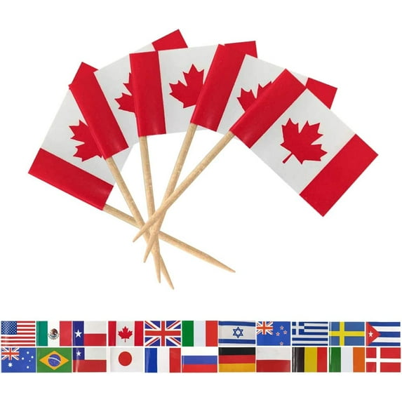CA Country Canadian Toothpick Flag, Canada Flags, 100 Pcs Cupcake Toppers Flag, Small Mini Stick Flags Picks Party Decoration Celebration Cocktail Food Bar Cake Flags