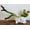 Frog Lying in Bathtub, variant on Frog Figurines Decor Funny Cute Craft Resin Frog Sculpture Statue for Home Office Desk Tabletop Bathroom Decoration, Ornament Gift (Frog Pulling Pants)