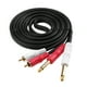 thumbnail image 3 of Dual RCA A Doble Cable Audio Mono 6.35 Mm 2RCA A 2 6.5 DVD DVD (2m), 3 of 4