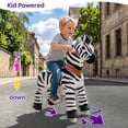 thumbnail image 4 of PonyCycle Ride on Horse Toys Walking Rocking Zebra Horse Toy with Hand Brake for Kids Age 4-7 Years Ux468, 4 of 11