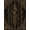 Gold Black, Pattern 20, variant on Design&I 8'x10' Washable Area Rug Sleek Flatweave Pet Friendly Antique Serpent Avian Bamboo Design Dark Gold Bronze Decorative for King Size Bedroom, Under Bed