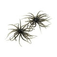 thumbnail image 4 of 2 piezas de pesca atrae a la pesca portátil con ganchos para perch bluegill lake Verde, 4 of 8