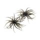 thumbnail image 4 of 2 piezas de pesca atrae a la pesca portátil con ganchos para perch bluegill lake Verde, 4 of 8