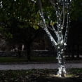 thumbnail image 3 of 225 Solar Powered LED String Lights, 105 Feet - White, 3 of 4