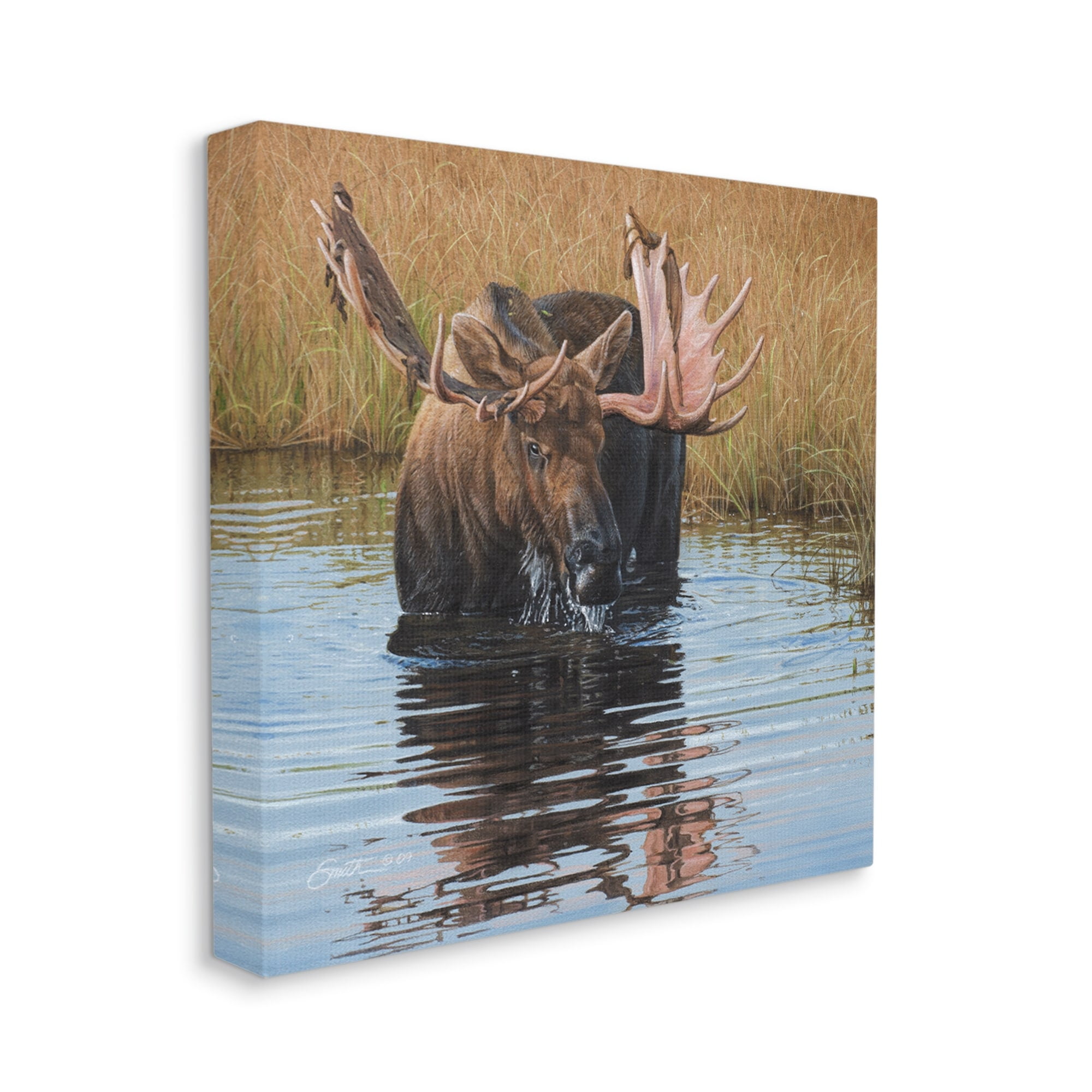 Stupell Industries Moose In Water Wildlife Scene Animals & Insects Painting Gallery Wrapped Canvas Print Wall Art