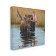 thumbnail image 3 of Stupell Industries Moose In Water Wildlife Scene Animals & Insects Painting Gallery Wrapped Canvas Print Wall Art, 3 of 5