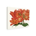 thumbnail image 2 of Curtis 'Striking Coral Botanicals III' Canvas Art, 2 of 3