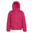 thumbnail image 2 of Regatta Veste Matelassée à Capuche Hillpack II pour Garçons/filles, 2 of 6