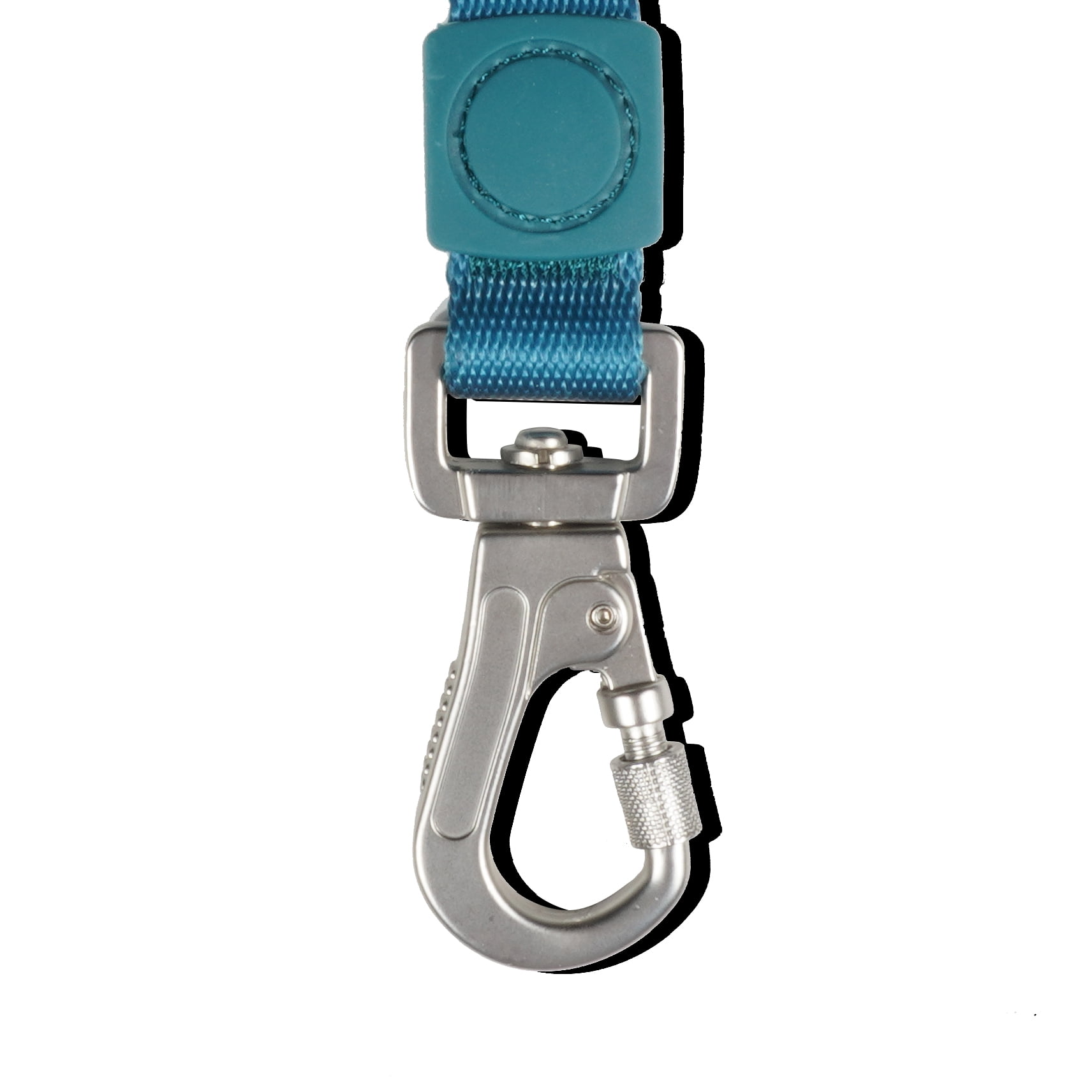 AtPet 4 Ft Dog Leash for Walking Training Dogs, Soft, Lightweight, Heavy Duty Screwgate Locking Climbing Carabiner Clip, Medium, Blue