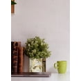 thumbnail image 4 of Serene Spaces Living Glass Birch Bark Vase, Small, White, 4 of 6