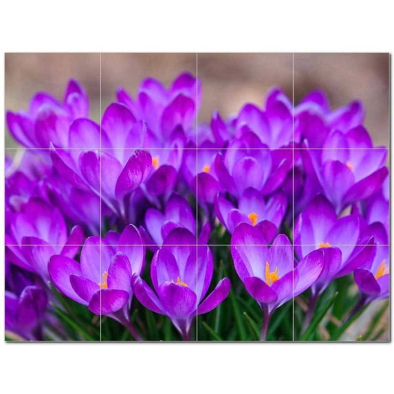 Flowers Ceramic Tile Mural Kitchen Backsplash Bathroom Shower 402261-XL43