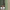 Assortment, variant on Deep Forest Green, Rust-Oleum Camouflage 2X Ultra Cover Spray Paint, 12 oz