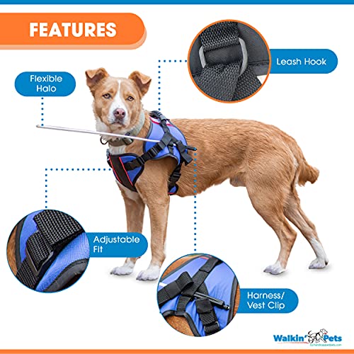 blind dog halo walmart