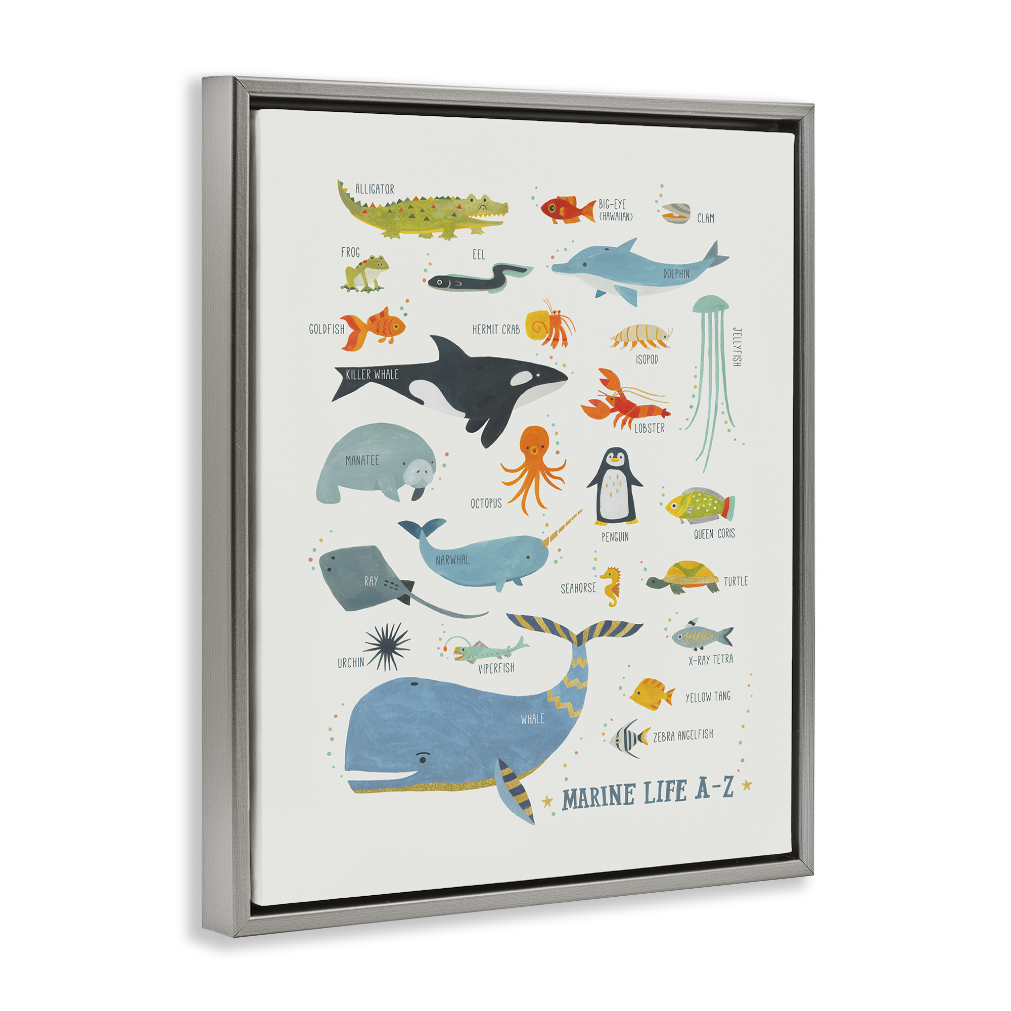 Stupell Industries Marine Life ABC Alphabet Education Painting Gray Floater Framed Canvas Art Print Wall Art, 17 x 21
