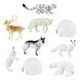 thumbnail image 2 of Estatuas en miniatura de animales del Ártico 8 piezas Yotijar Figuras de simulación, 2 of 10