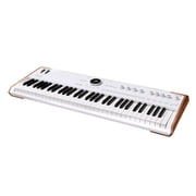 Arturia AstroLab 61-Key Semi-Weighted Stage Keyboard With 1300 Sounds and Analog Lab Pro Software Included