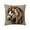 A, variant on Dtchengua Embroidered Horse Pillow Cover - Luxurious Short Plush Throw Pillow Case, 18x18 Inch Decorative Accent for Sofa, Bed, or Chair, Cute Home Decor(2Pcs)