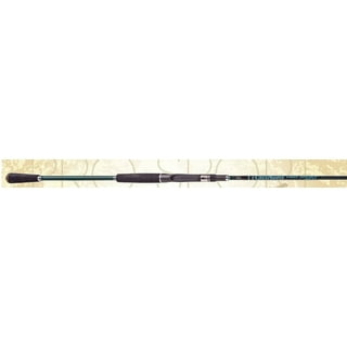 CastAway Rods Saltwater Fishing Rods in Fishing Rods 