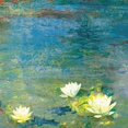 thumbnail image 2 of Flowers in the Pond Poster Print by  PI Studio (12 x 12), 2 of 2