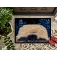 thumbnail image 3 of Carolines Treasures SS8439JMAT Starry Night Pekingese Doormat 24x36 36"L x 24"W multicolor, 3 of 4