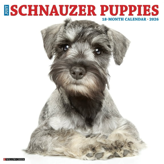 Schnauzer Puppies 2026 Wall Calendar