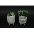thumbnail image 2 of Gerson Gray Concrete Cow and Pig Barnyard Animal Planters 8 inch (Set of 2), 2 of 4