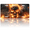 Fiery Skull in Flames, variant on 1 Pcs License Plate Covers & Frames, Cosmic Butterfly under Moon and Stars For Decorative Front, Aluminum License Plate Covers & Frames Cover For Men Women, 12" X 6"