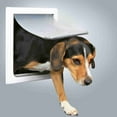 thumbnail image 3 of TRIXIE 2-Way Pet Door for Doors with Lockable Panel, Small, 3 of 7