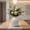 White, variant on Ceramic Flower Vase Home Decor - Farmhouse Table Vases Rustic Vintage Living Room Kitchen Bedroom Decorations for House Book Shelf Office Coffee Desk Dining Fireplace (5.9" Beige)