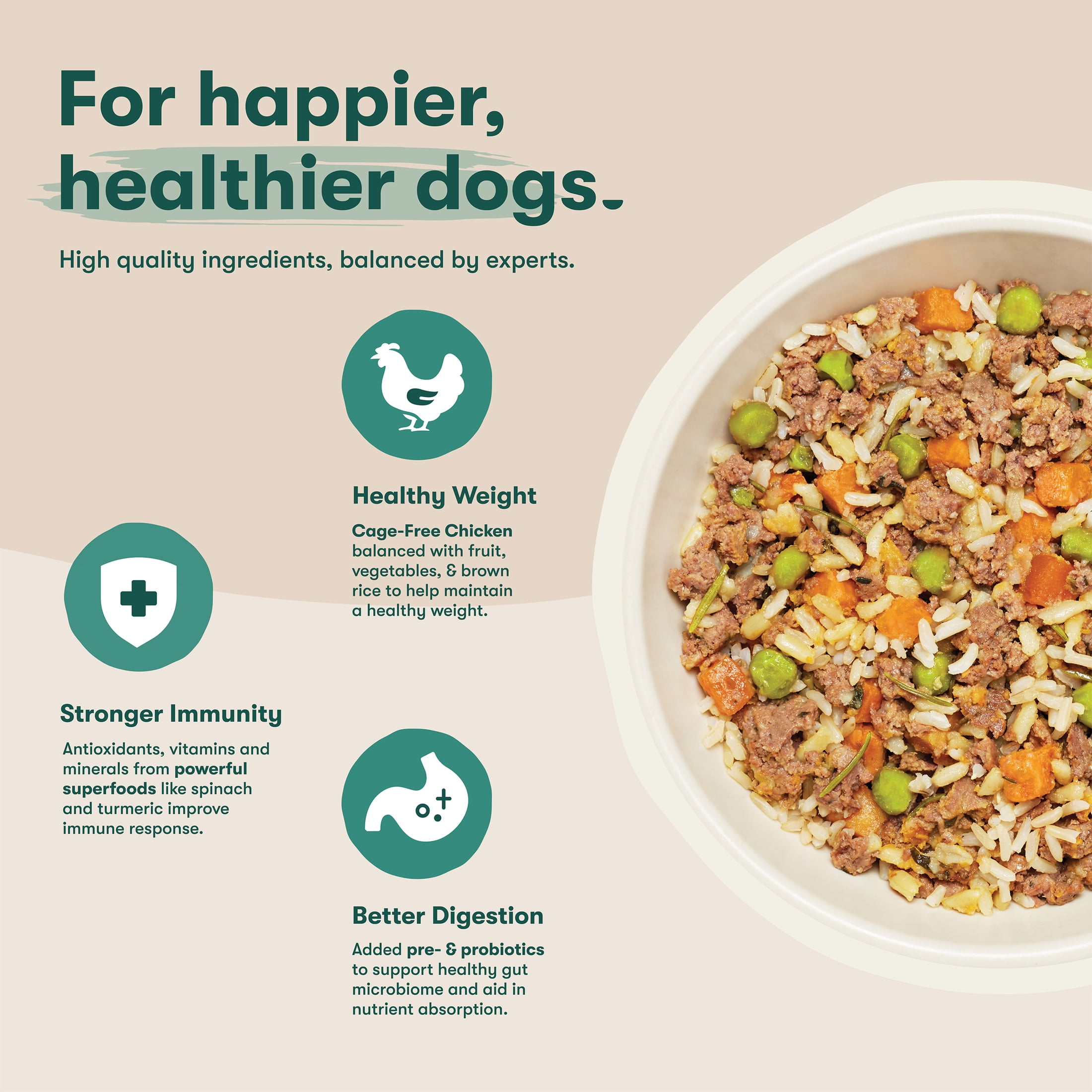 (4 pack) Jinx Homemades Chicken Recipe Wet Natural Dog Food, Whole Grain, 9 oz Pouch